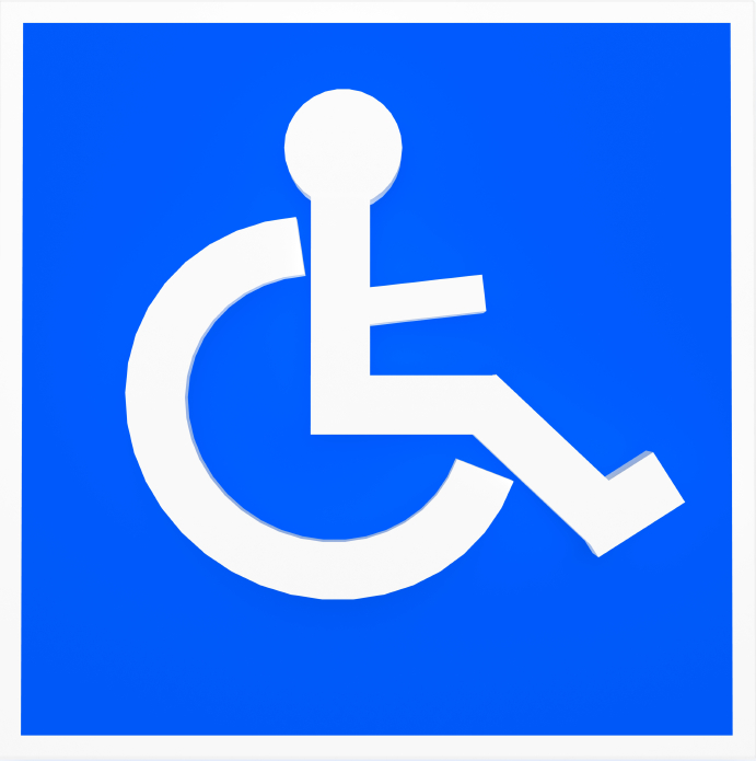Security and Safety: Recognizing the Needs of People with Disabilities